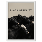 Black Serenity - Poster featuring a serene group of black cows with gentle expressions on a neutral background.