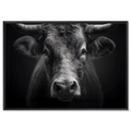 Presence of a bull - Alu-Dibond wall art featuring a powerful mountain bull's gaze.