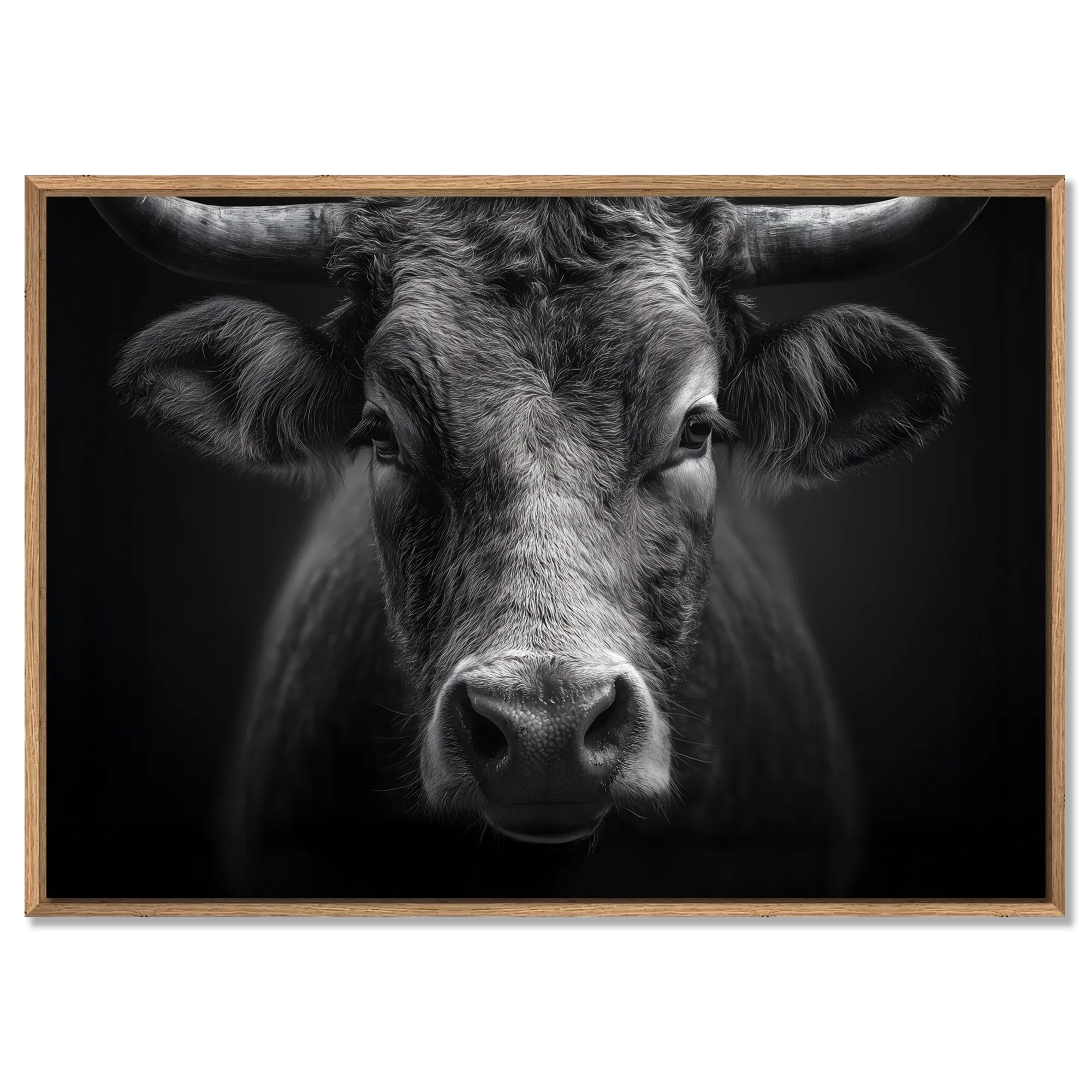 Presence of a bull - Alu-Dibond wall art showcasing a powerful mountain bull in stunning detail.