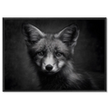 Charm of a fox - Alu-Dibond wall art featuring a close-up of a fox's calm gaze and elegant fur details.