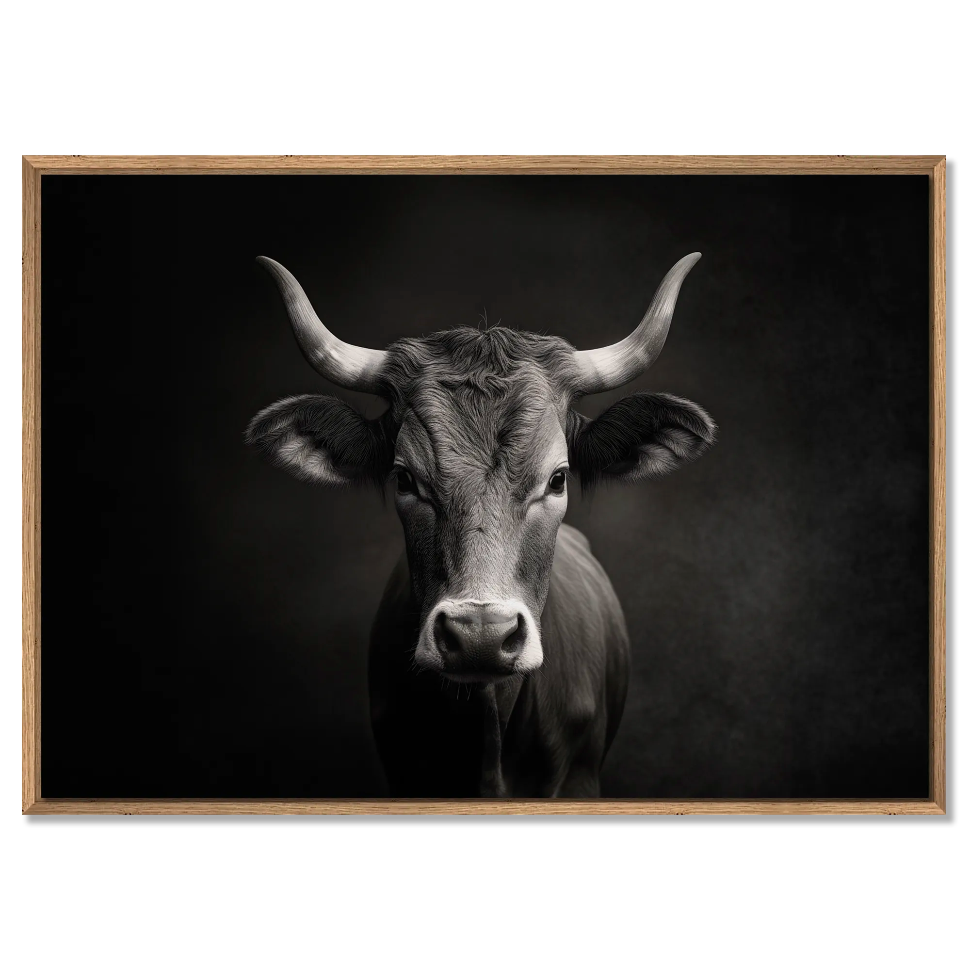 The charisma of a cow - Alu-Dibond wall art framed print showcasing a mountain cow in captivating detail.