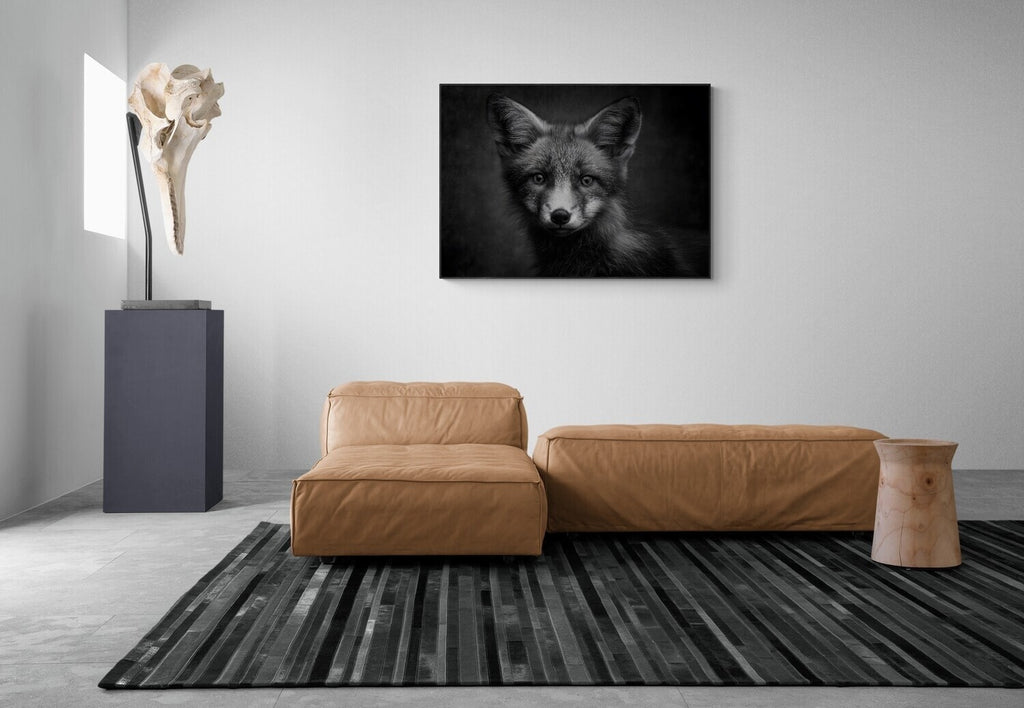 Charm of a fox - Alu-Dibond wall art displayed in a contemporary living room setting.