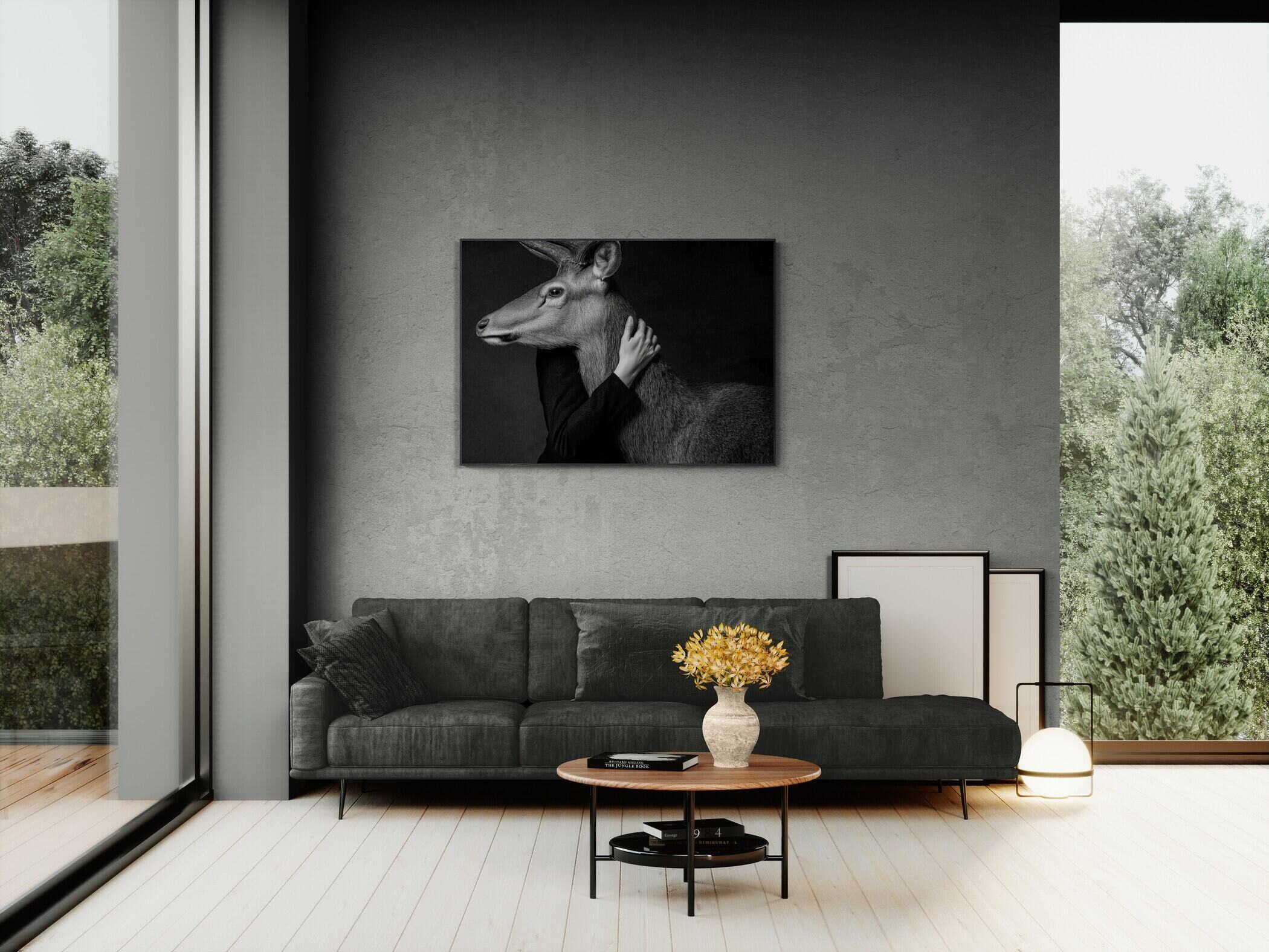 Closeness of an Alpine Deer – Alu-Dibond wall art displayed in a modern living room with a sofa.