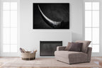 Curve of a Bull – Alu-Dibond wall art displayed in a modern living room with a stylish armchair.
