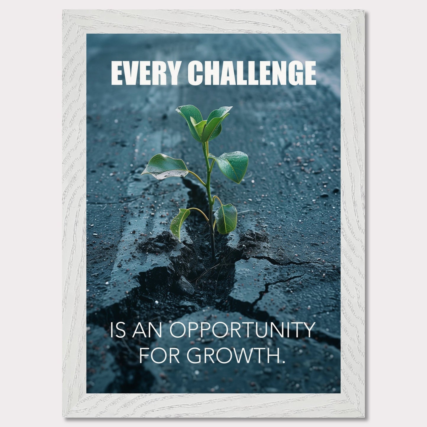 A motivational poster featuring a small green plant sprouting through a crack in the asphalt. The text on the poster reads "EVERY CHALLENGE IS AN OPPORTUNITY FOR GROWTH." The image symbolizes resilience and perseverance.