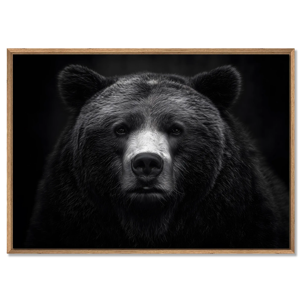 Dignity of a bear - Alu-Dibond wall art featuring a powerful bear portrait in black and white with a wooden frame.