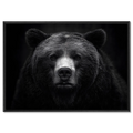 Dignity of a bear - Alu-Dibond wall art showcasing a powerful, serene bear in premium quality finish.
