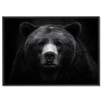 Dignity of a bear - Alu-Dibond wall art showcasing a powerful, serene bear in premium quality finish.