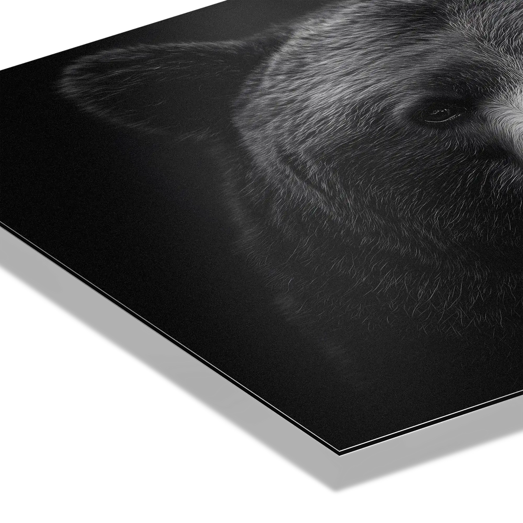 Dignity of a bear - Alu-Dibond wall art featuring detailed fur textures and calm gaze.