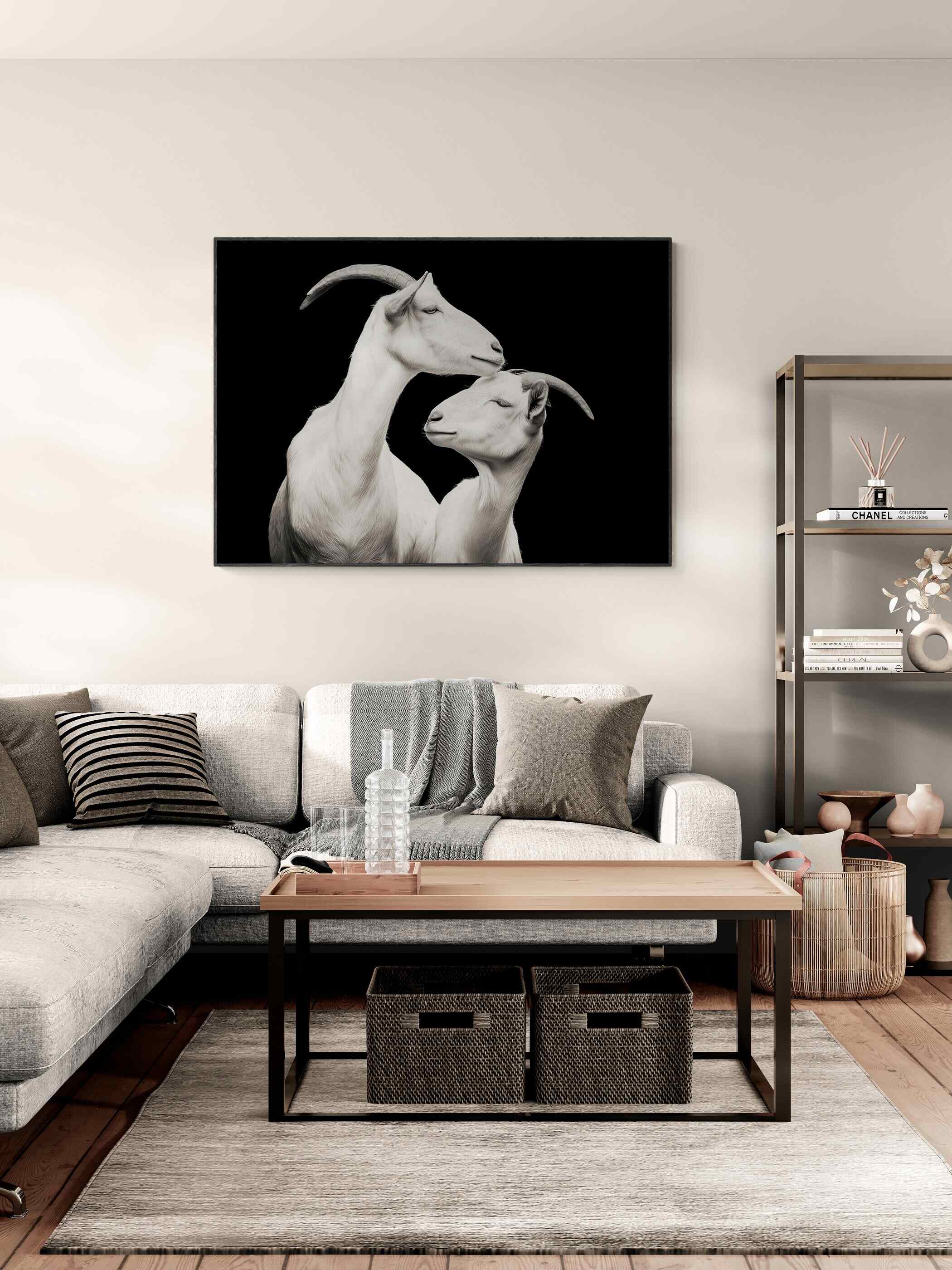 Elegance of goats - Alu-Dibond wall art displayed in a modern living room setting, capturing a tender moment between alpine goats.