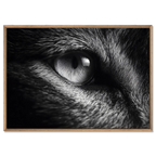 Eye of a Fox – Alu-Dibond wall art featuring a close-up of a fox's eye, showcasing intricate detail and fine art quality.