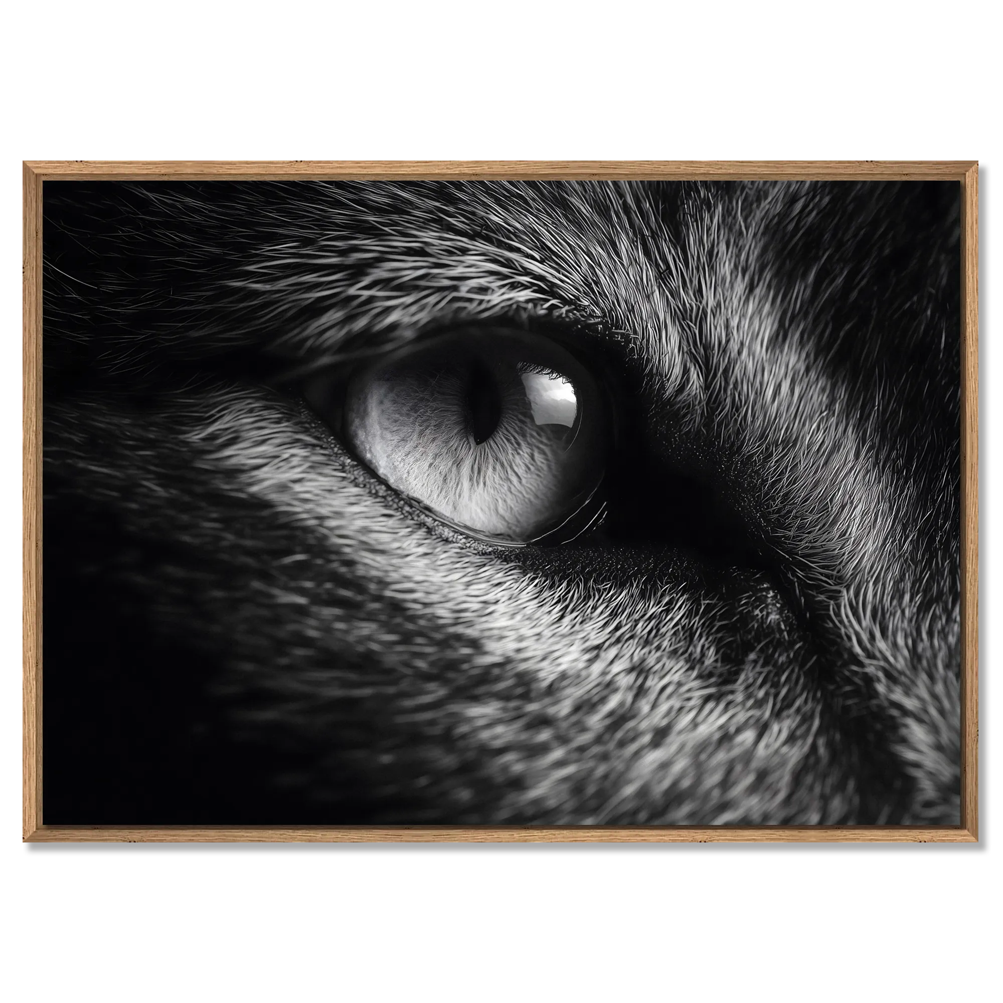 Eye of a Fox – Alu-Dibond wall art featuring a close-up of a fox's eye, showcasing intricate detail and fine art quality.