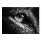 Eye of a Fox – Alu-Dibond wall art capturing detailed fox eye and fur features.