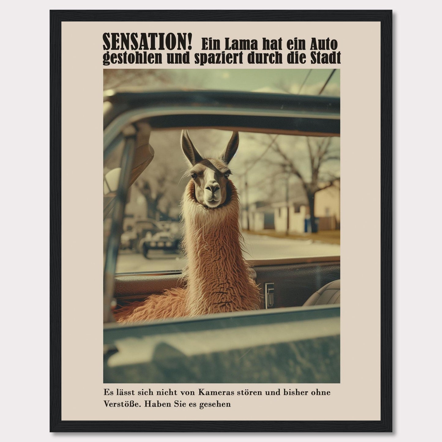 SENSATION! A llama has stolen a car and is strolling through the city.  It is not bothered by cameras and so far has committed no offenses. Have you seen it?