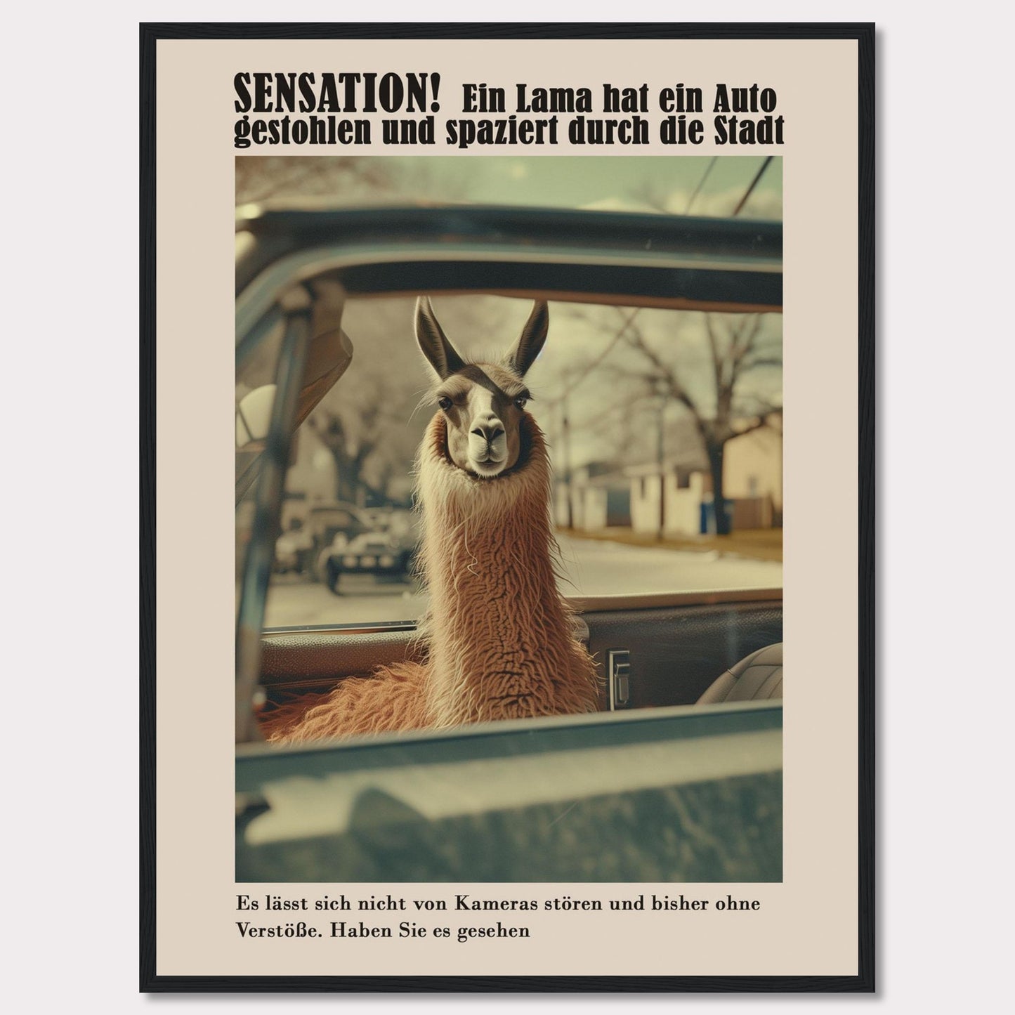 SENSATION! A llama has stolen a car and is strolling through the city.  It is not bothered by cameras and so far has committed no offenses. Have you seen it?