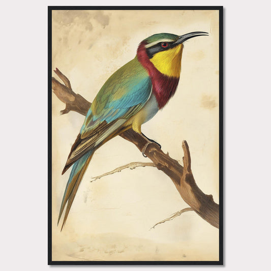 This captivating artwork features a vibrant bird perched on a branch, showcasing its colorful plumage. The background is a soft, muted beige that highlights the bird's bright hues. The bird's feathers display a stunning array of colors, including green, blue, yellow, and red. The piece is framed in a simple black frame that complements the artwork without detracting from it.