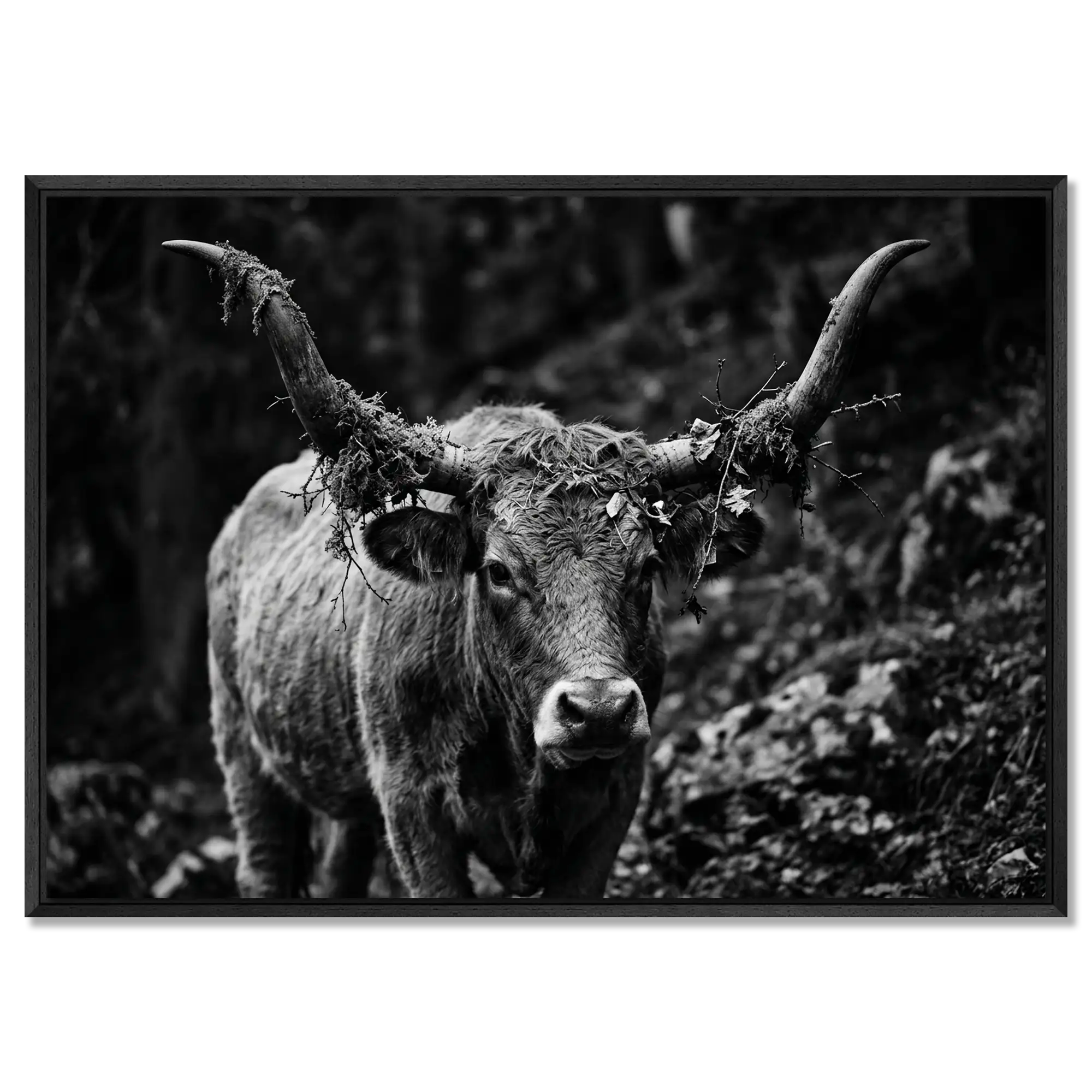 Forest Cow