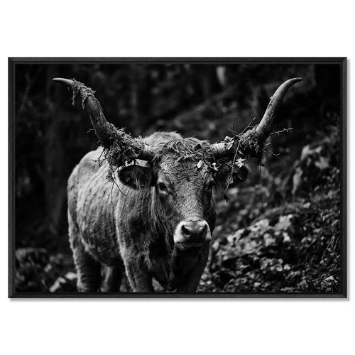 Forest Cow in a dense forest, showcasing branches on horns, emphasizing natural beauty in large alpine wall art XXL.