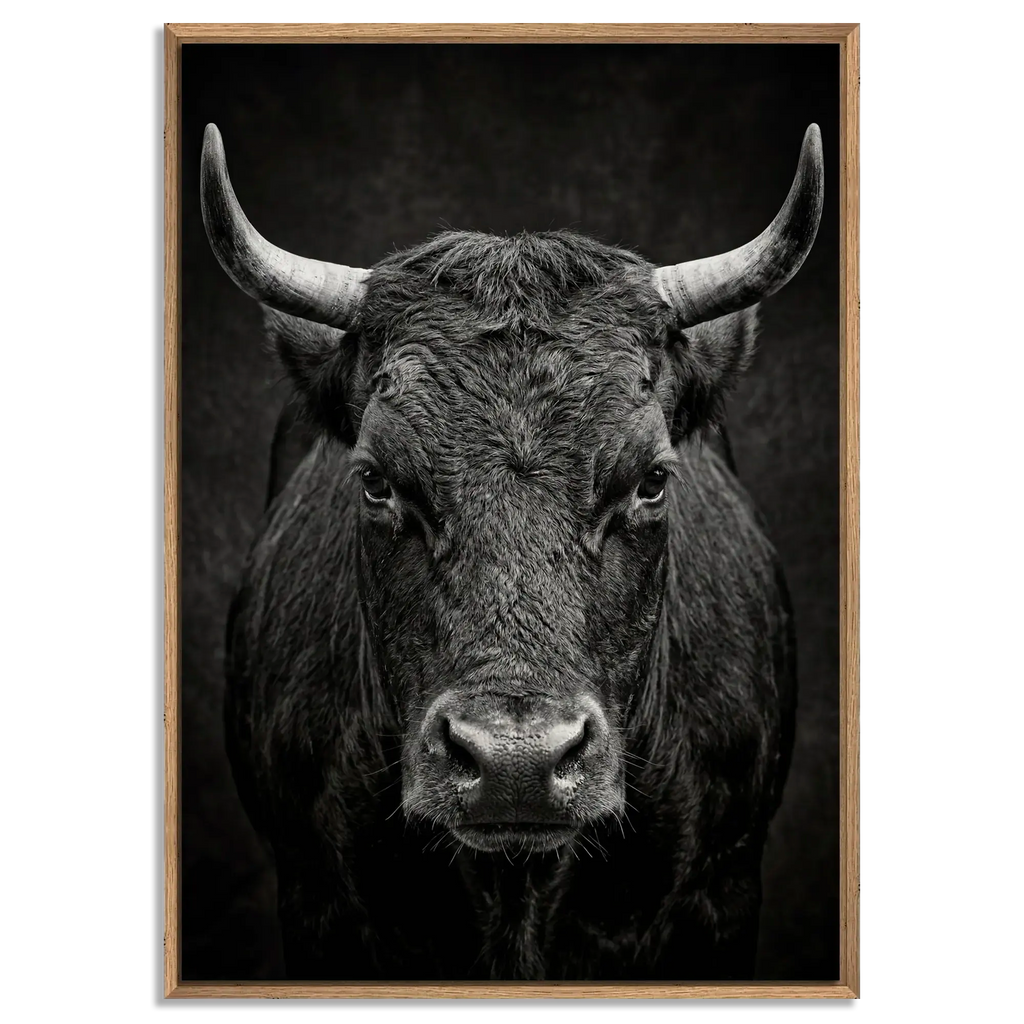 Fury of an Hérens cow in a natural oak floater frame, showcasing powerful alpine wall art with intense gaze and broad horns.