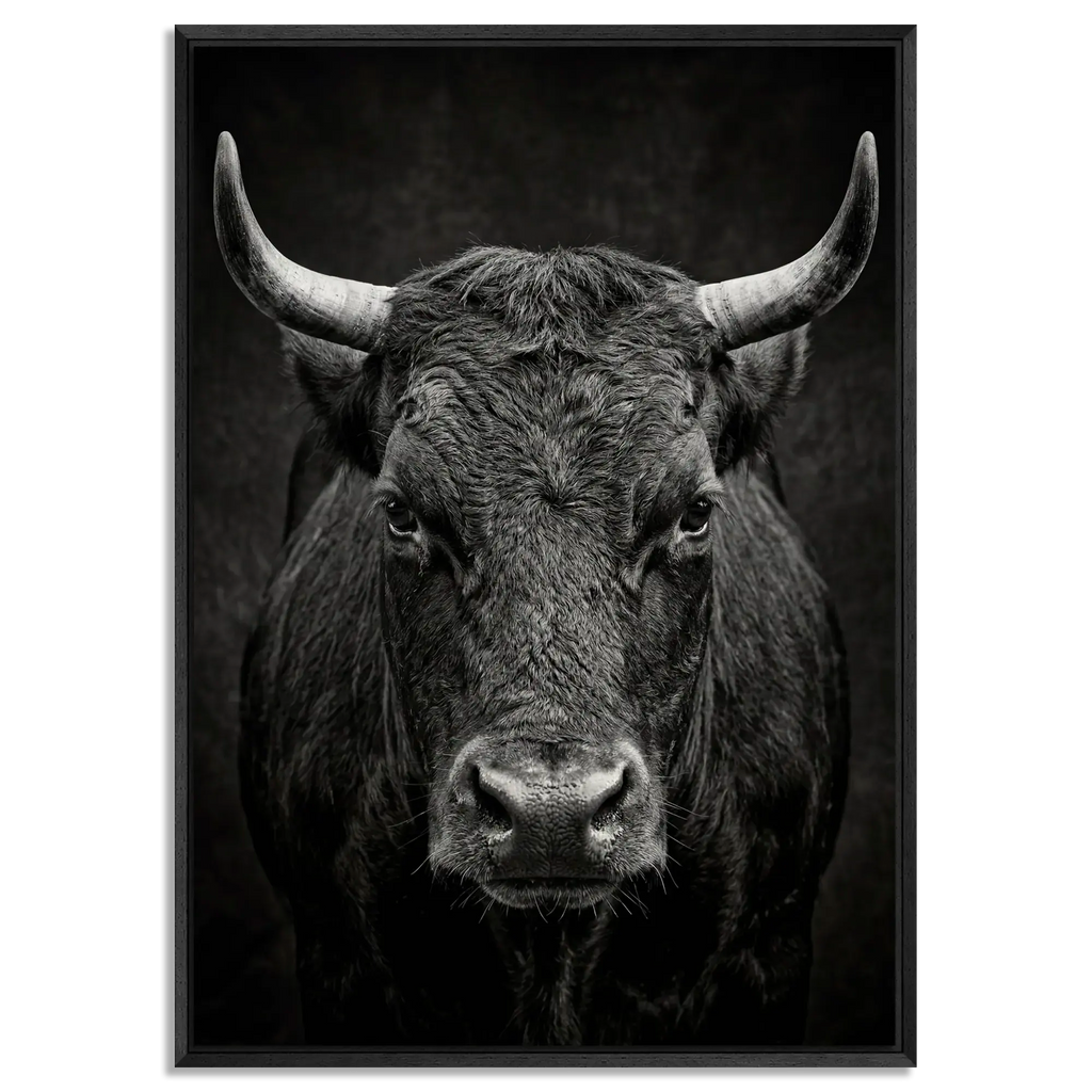 Fury of an Hérens cow in black floater frame, showcasing Alpine Wall Art with raw power and fierce intensity.