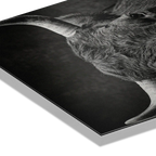 Fury of an Hérens cow artwork detail showcasing broad horns and intense gaze on premium Alu-Dibond for Alpine Wall Art.