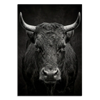 Fury of an Hérens cow depicted in stunning detail, highlighting its raw power as Alpine Wall Art.