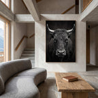 Fury of an Hérens cow