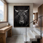 Fury of an Hérens cow