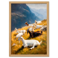 Goats on the Ridge - Poster featuring mountain goats resting on a sunlit alpine slope with warm grass and blue mountains.
