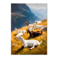 Goats on the Ridge - Poster featuring resting mountain goats on a sunlit alpine slope amidst golden grass and blue mountains.