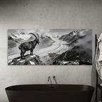Steinbock über dem Aletschgletscher