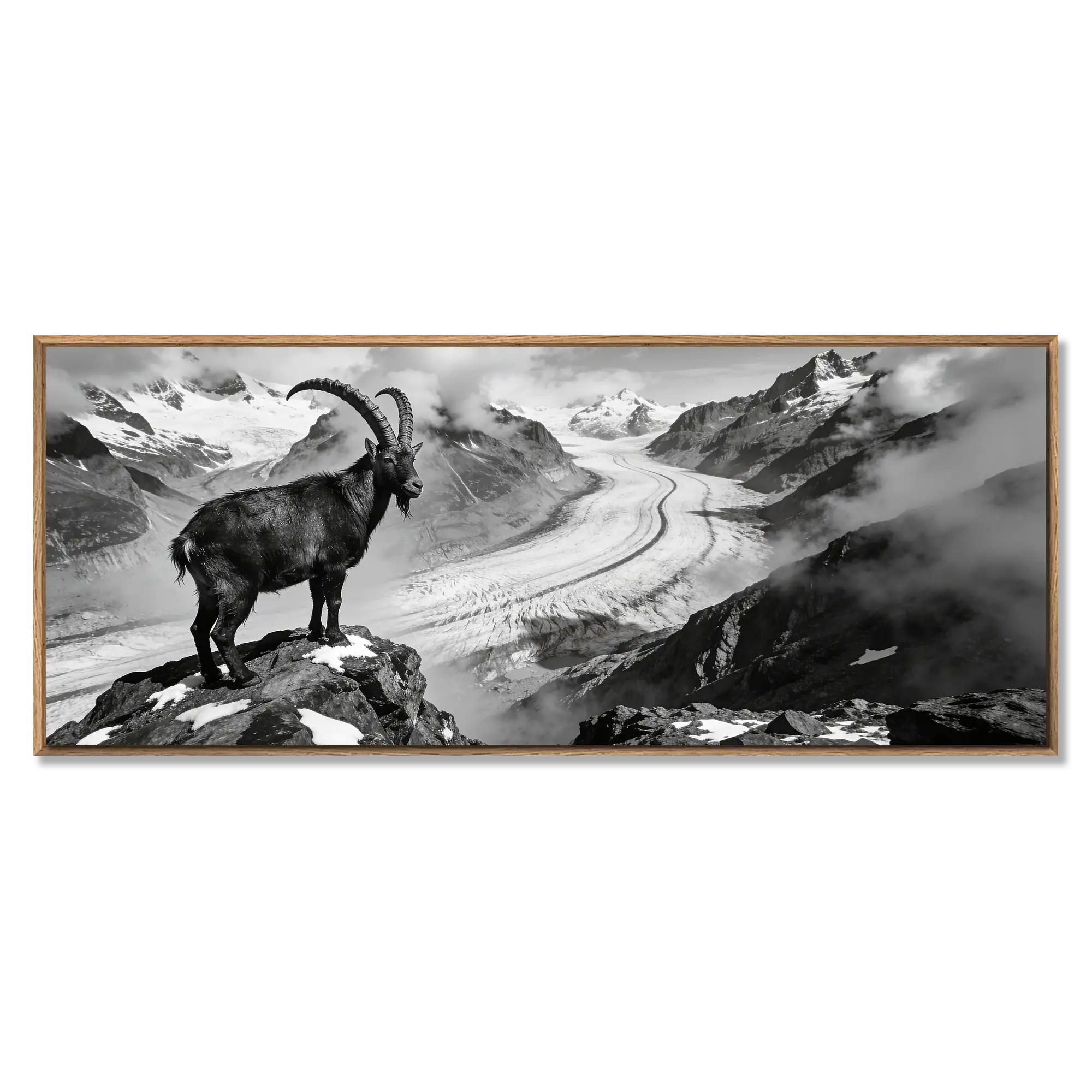 Ibex Above the Aletsch Glacier