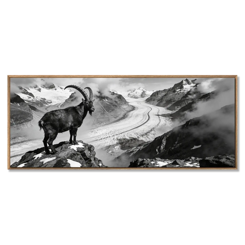 Ibex Above the Aletsch Glacier, large alpine wall art XXL featuring majestic ibex and vast glacier panorama