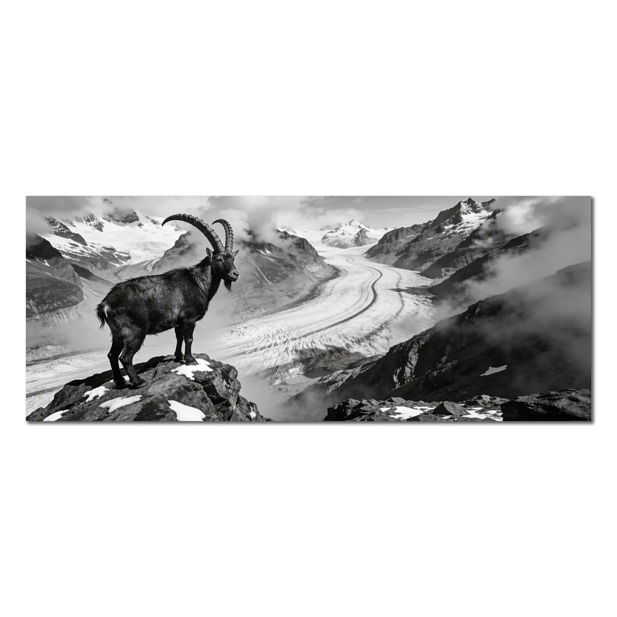 Ibex Above the Aletsch Glacier