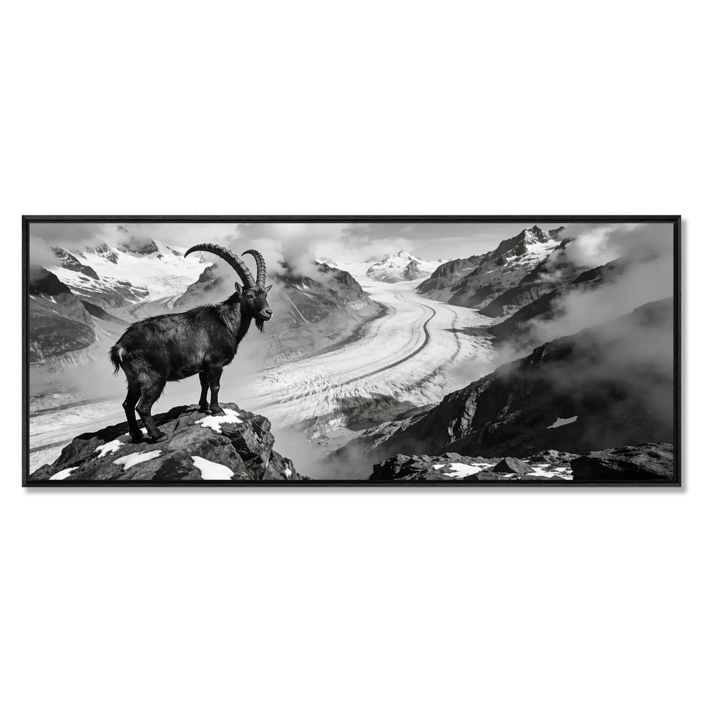 Steinbock über dem Aletschgletscher