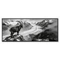 Steinbock über dem Aletschgletscher