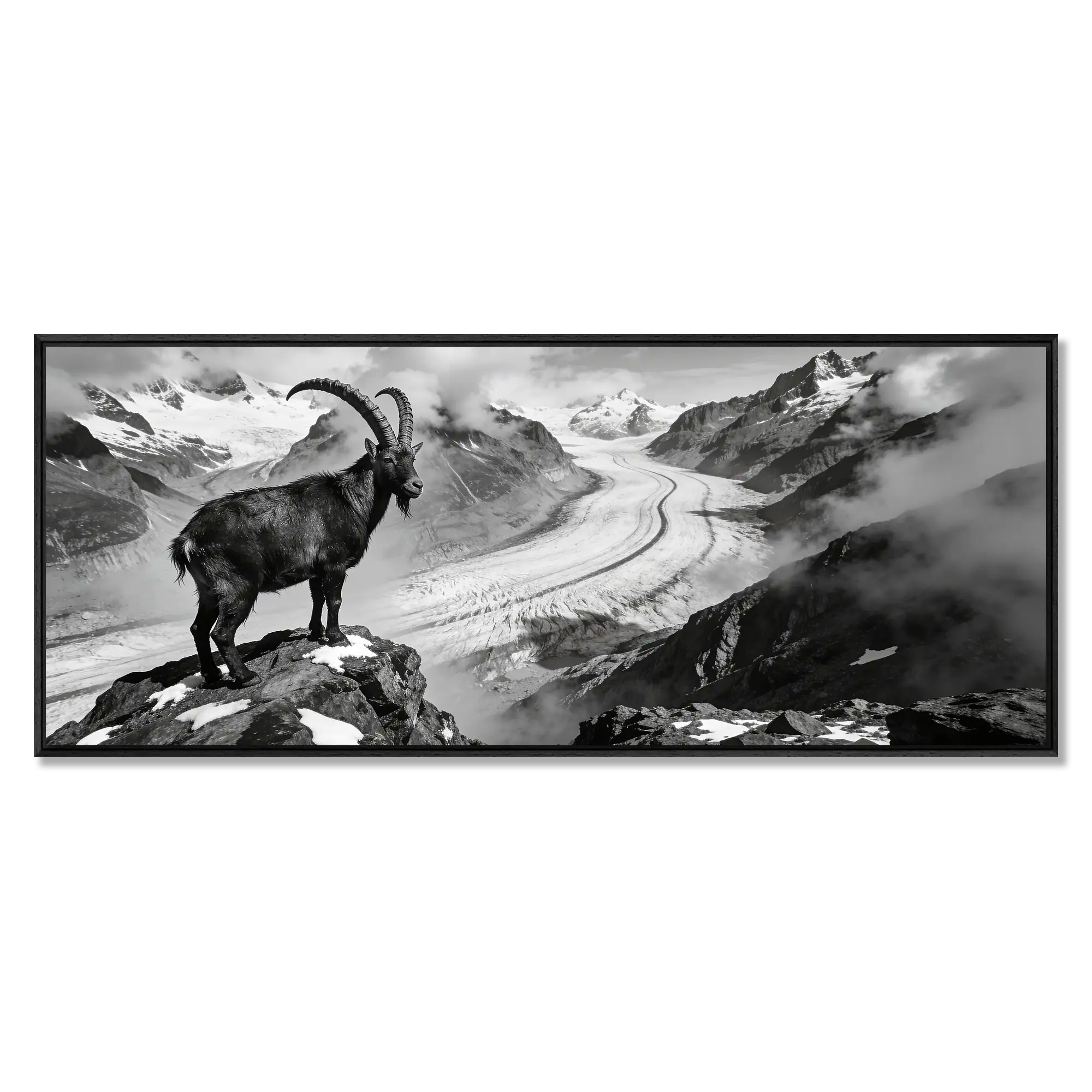 Ibex Above the Aletsch Glacier