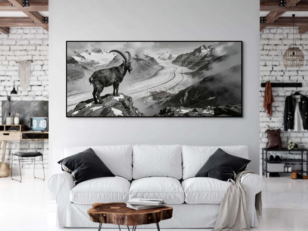 Steinbock über dem Aletschgletscher