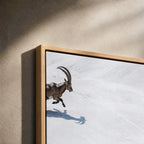 Ibex Along the Glacier Stream