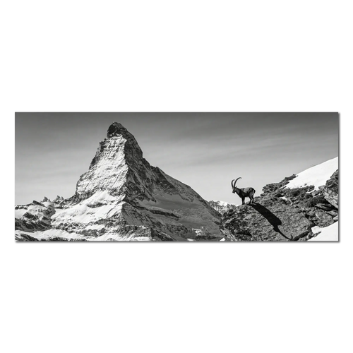 Ibex Before the Matterhorn – Alu-Dibond wall art featuring an ibex and the Matterhorn in breathtaking alpine scenery.