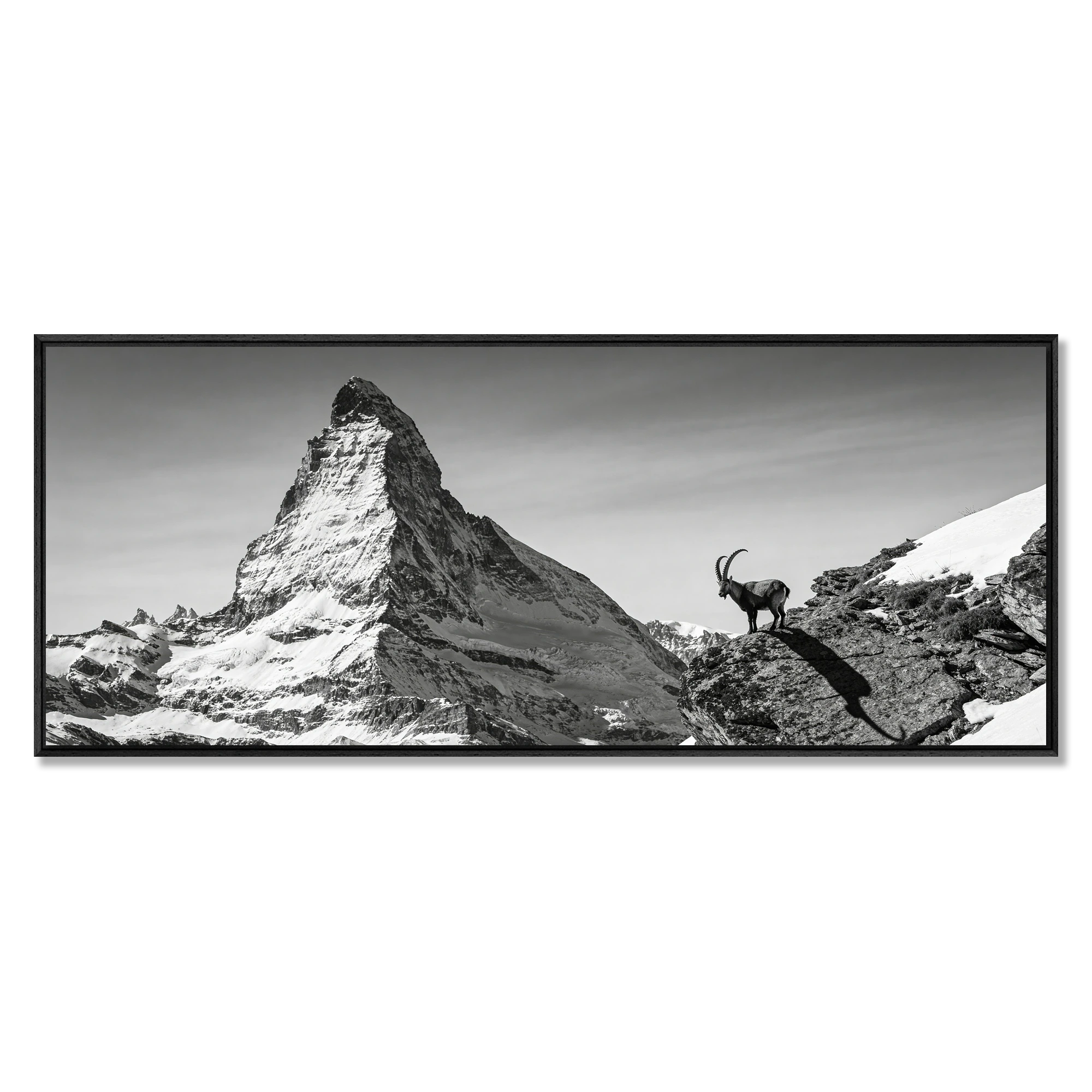 Ibex Before the Matterhorn – Alu-Dibond wall art featuring an alpine ibex and the Matterhorn.