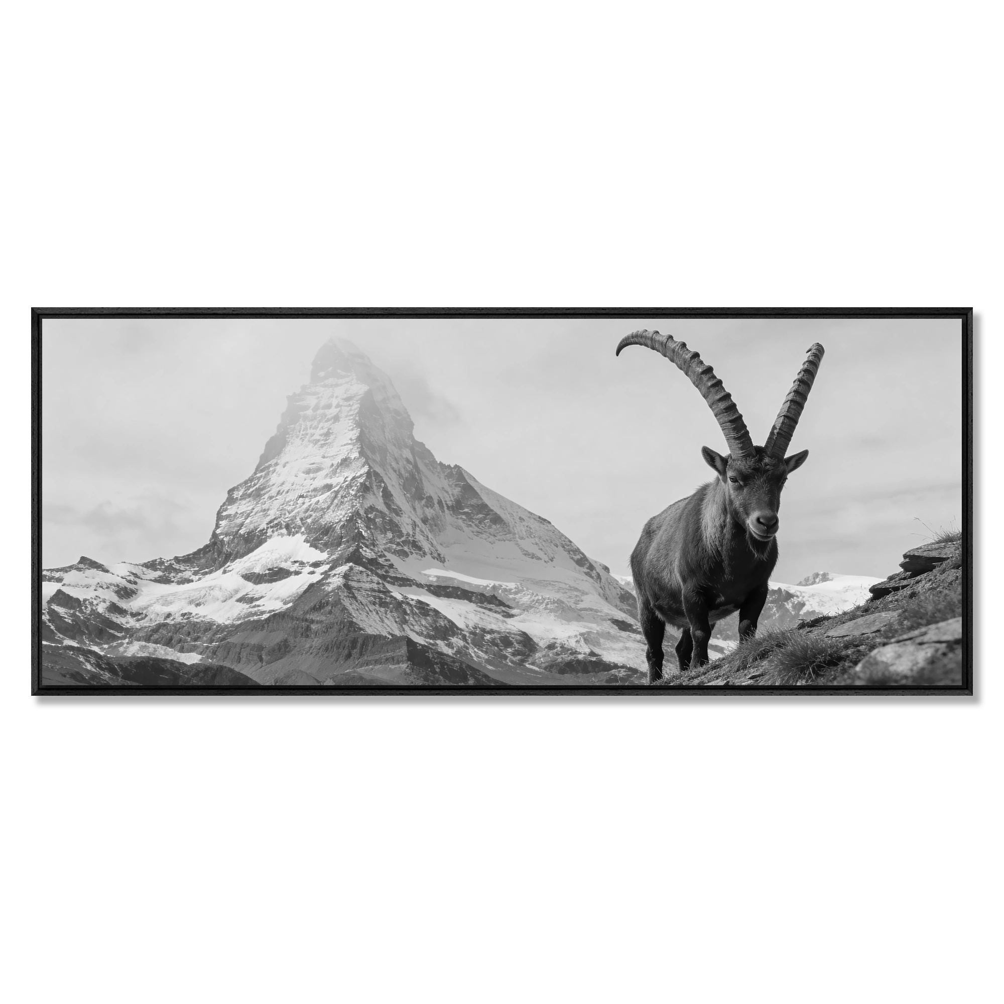 Ibex Foreground, Matterhorn – Alu-Dibond wall art featuring an alpine ibex and the Matterhorn in the background.