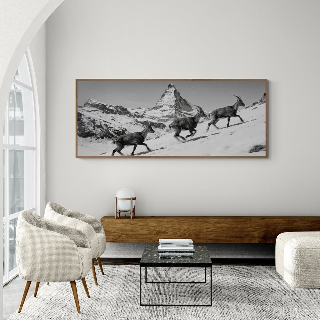 Ibex and the Matterhorn – Alu-Dibond wall art showcasing ibex on a snowy slope with the Matterhorn.