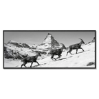 Ibex and the Matterhorn – Alu-Dibond wall art featuring ibex on snowy slope with Matterhorn peak.