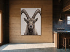 The Ibex Regent