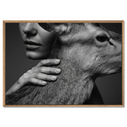 Intimacy with an Alpine Deer – Alu-Dibond wall art showcasing a human and deer in a moment of trust and calm.