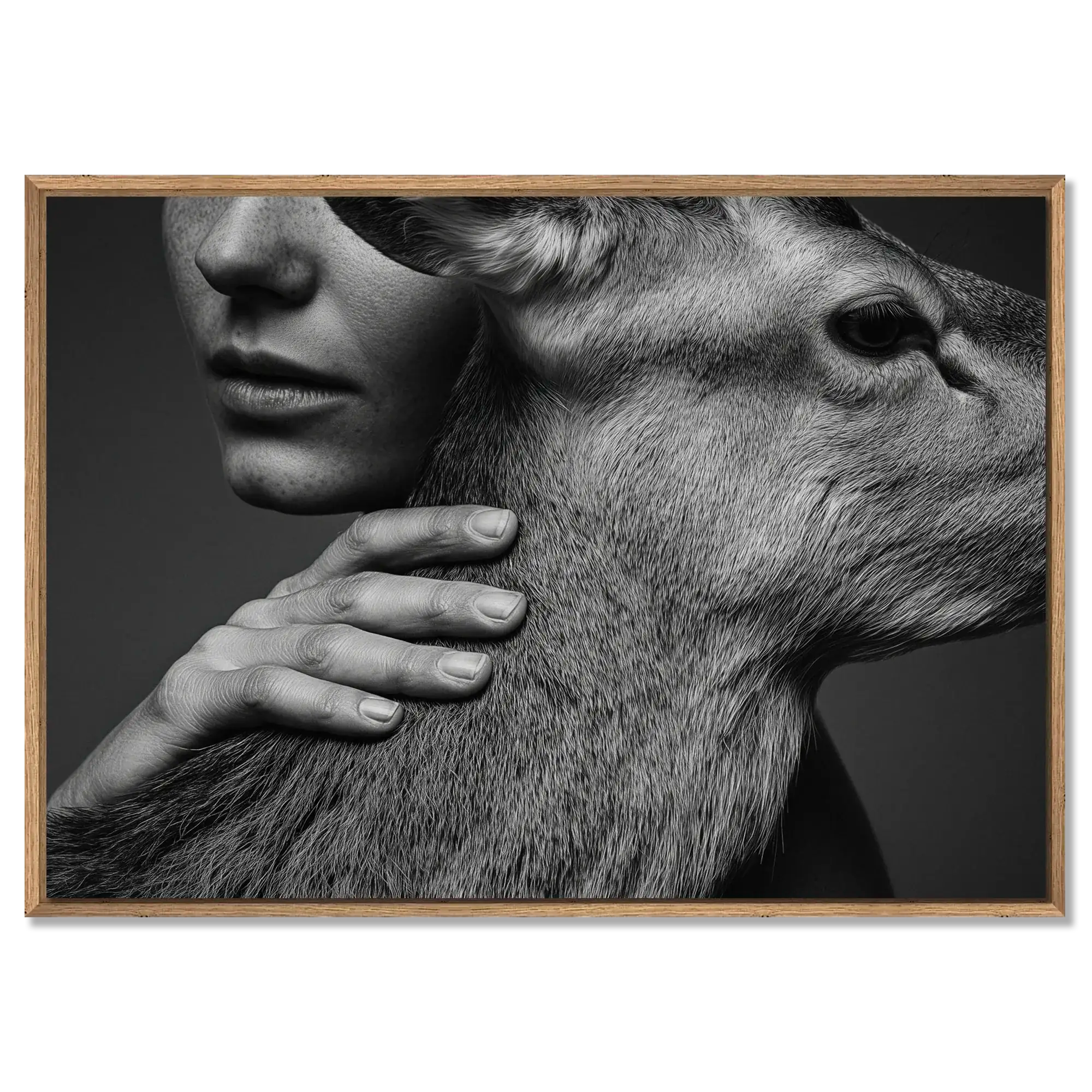 Intimacy with an Alpine Deer – Alu-Dibond wall art showcasing a human and deer in a moment of trust and calm.