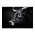 Limited Alpine Animal Posters – 70×100 cm artwork featuring a detailed portrait of an Alpine bull.