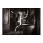 Limited Alpine Animal Posters – 70×100 cm featuring a serene cow in a rustic barn setting.