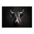 Limited Alpine Animal Posters – 70×100 cm featuring a striking monochrome portrait of a cow.